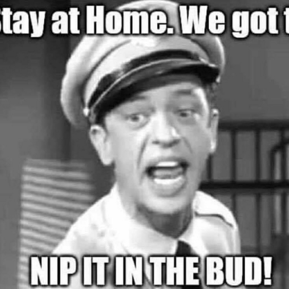 Meet your Posher, Tim